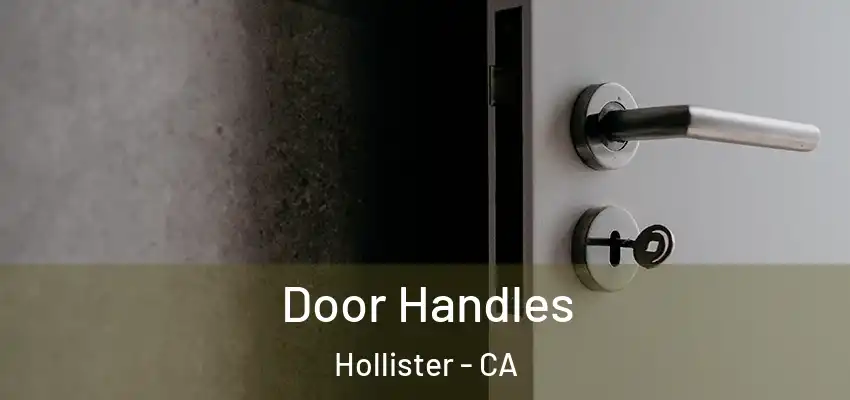 Door Handles Hollister - CA